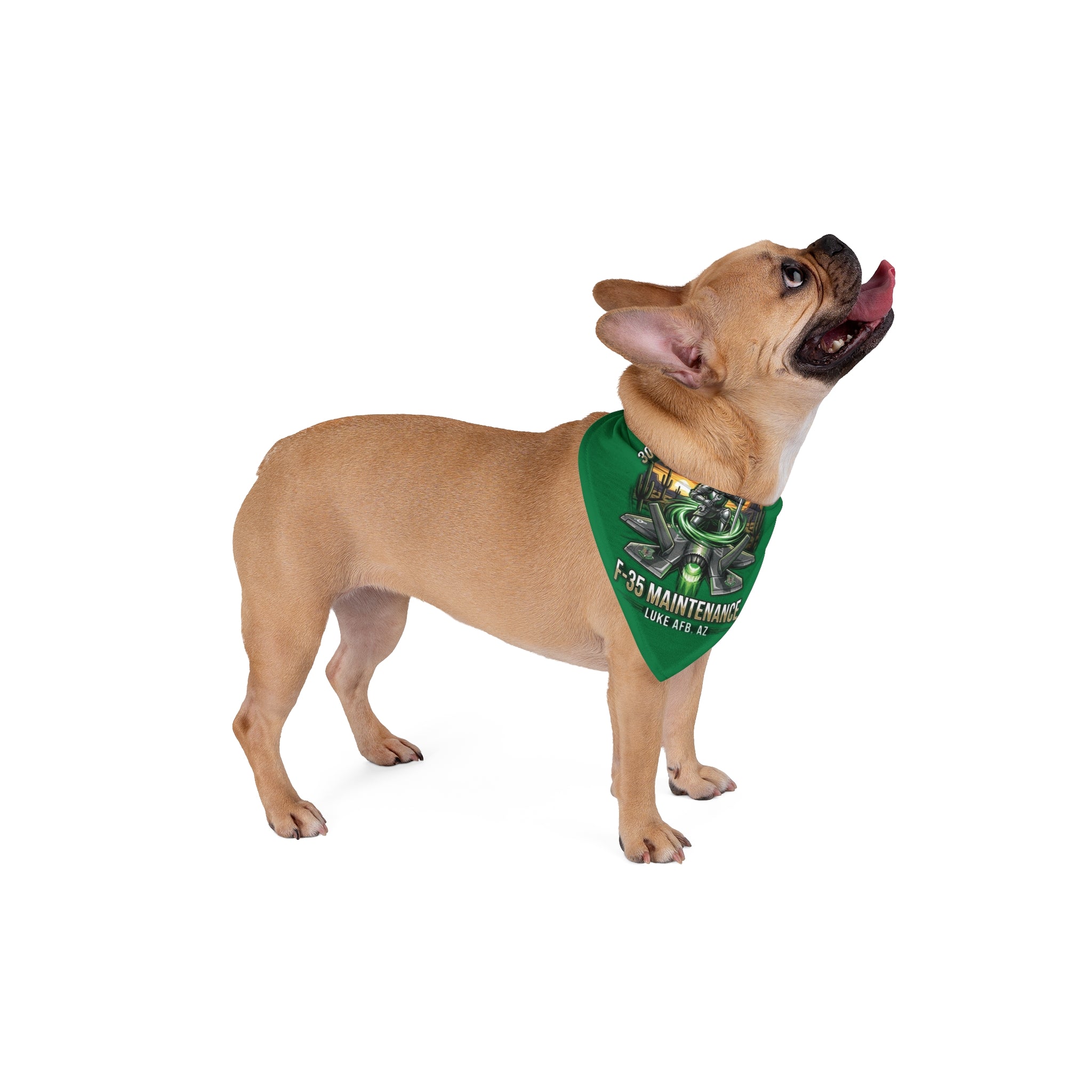 308th Pet Bandana
